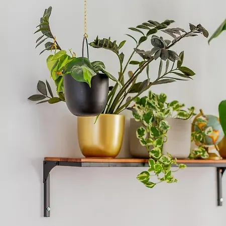 @ Jaszai Mari Square アパート *